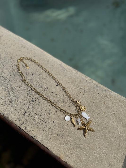 Collier grand étoile de mer et pince de crabe