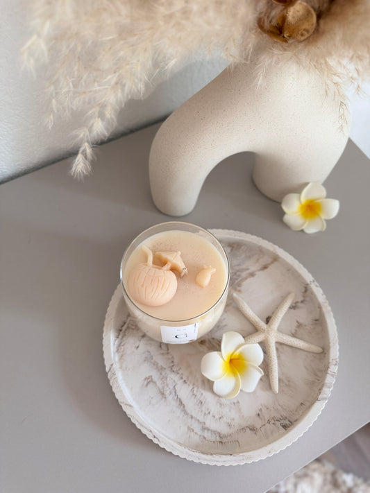 Bougie N° 71 - Coconut Sun